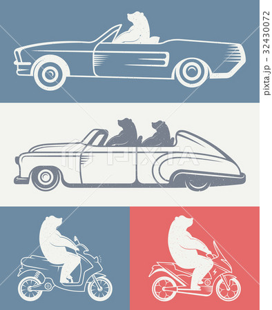 Vintage Illustration of Bear 32430072