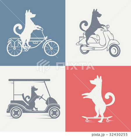 Vector set sign dog 32430255
