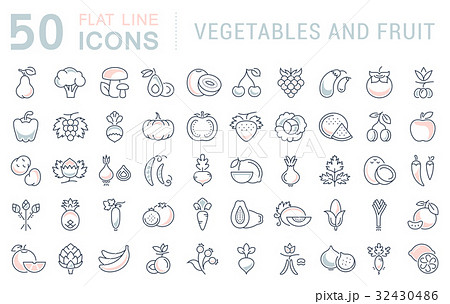 Set Vector Flat Line Icons Vegetables and Fruit 32430486