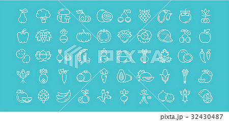 Set Vector Flat Line Icons Vegetables and Fruit 32430487
