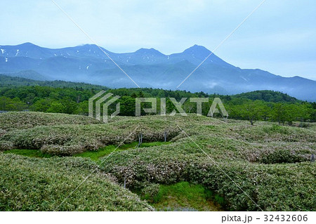 知床五湖 32432606