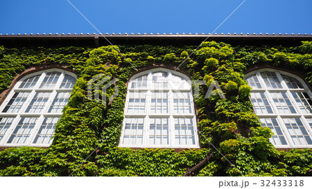 立教大学 立教大学 32433318