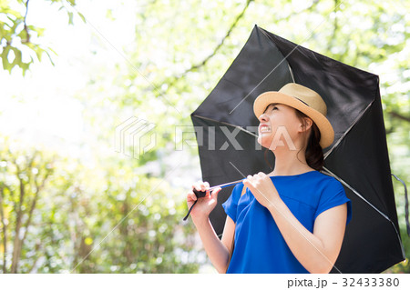 夏 女性 日傘 32433380