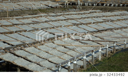 寒天の天日干し 寒天の天日干し 32433492
