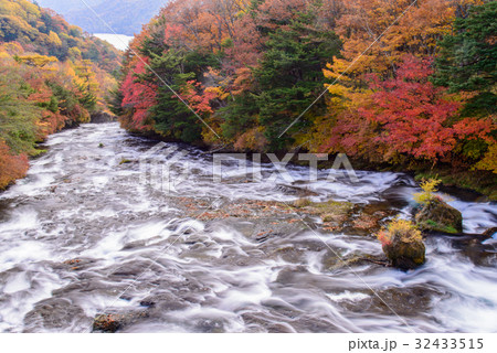 中禅寺湖に流れ込む竜頭ノ滝、秋、紅葉 32433515
