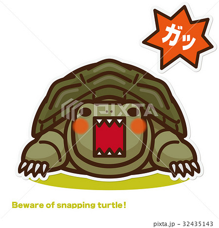 カミツキガメ注意喚起(緑系) カミツキガメ注意喚起(緑系) 32435143