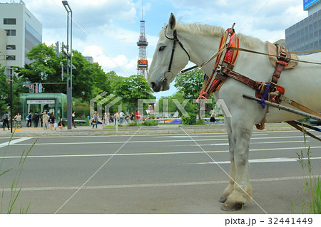 札幌テレビ塔と幌馬車 32441449