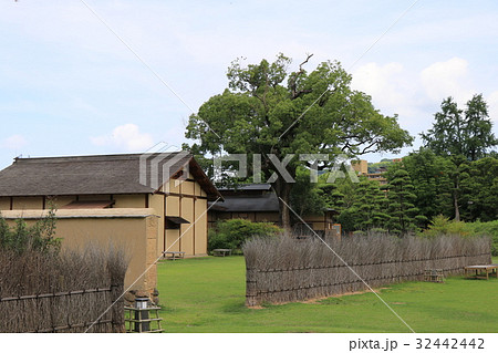 道後公園 湯築城跡 道後公園 湯築城跡 32442442