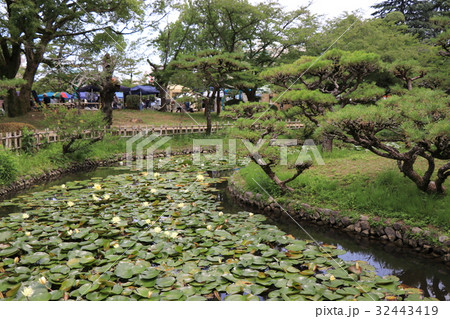 道後公園湯築城跡内堀 32443419