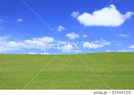 北海道　美瑛町　草原と流れる雲 32444150