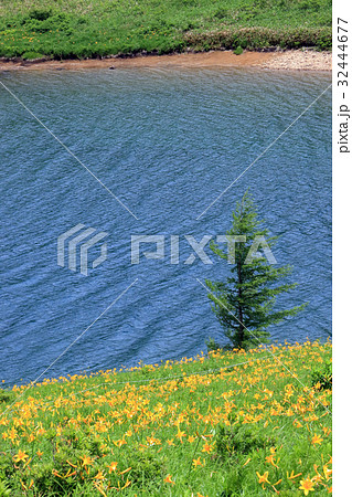 夏の野反湖 32444677