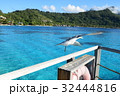 海鳥　タヒチ_ボラボラ島にて 32444816