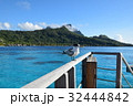 海鳥　タヒチ_ボラボラ島にて 32444842