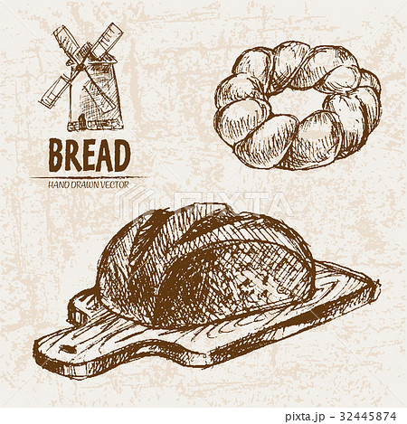 Digital vector detailed line art 32445874