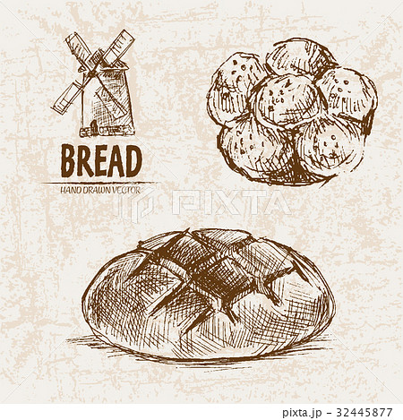 Digital vector detailed line art 32445877