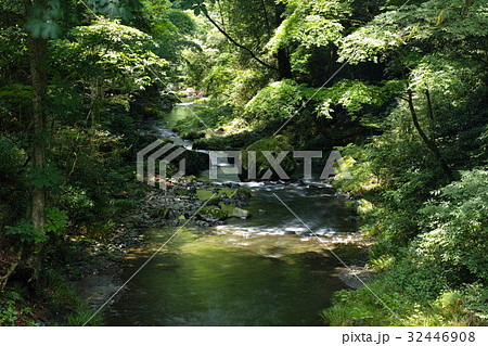 雲巌寺　朱塗りの太鼓橋から見た渓流 32446908