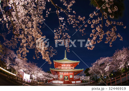 寺と夜桜３ 32446919