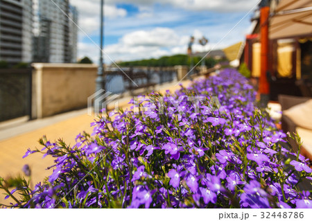 Fishing Village, Kaliningrad 32448786