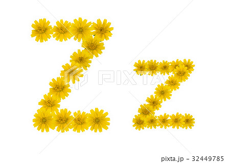 Letter Z, alphabet made from yellow Wedelia flower Letter Z, alphabet made from yellow Wedelia flower 32449785