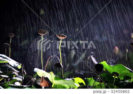 非 ウェブ 夜間 32450802