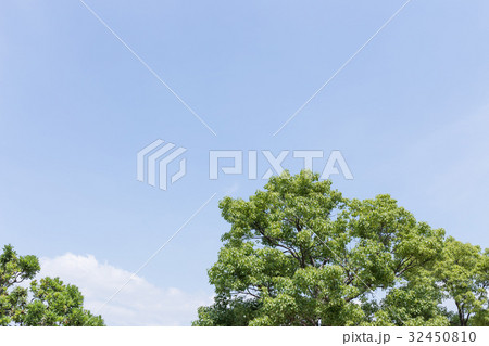 青空　新緑 32450810