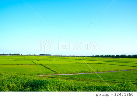 さいたま市　西遊馬農耕地　荒川堤より東京方面わ望む 32451860