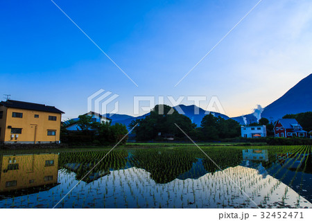 湯布院の夜明け　田植え田園風景 32452471