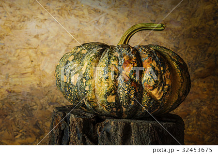 still life pumpkin. 32453675