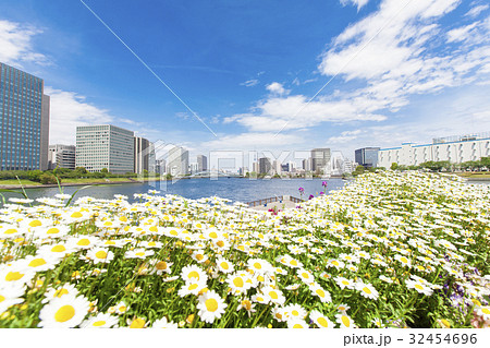 庭園のある都市風景 庭園のある都市風景 32454696