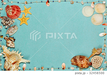Sea shells and star fish on aquamarine background 32456500