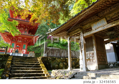 青龍寺(高知県土佐市) 青龍寺(高知県土佐市) 32456565