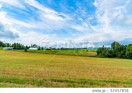 《北海道》美瑛・田園風景 《北海道》美瑛・田園風景 32457856