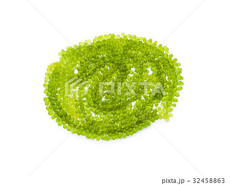 Umi-budou, grapes seaweed or green caviar 32458863