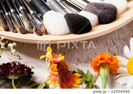 Professional Make up brushes on plate next to wild Professional Make up brushes on plate next to wild 32459490