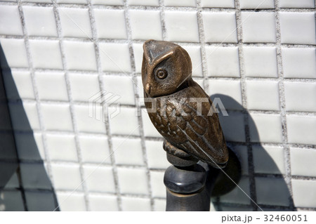 動物蛇口フクロウ 動物蛇口フクロウ 32460051