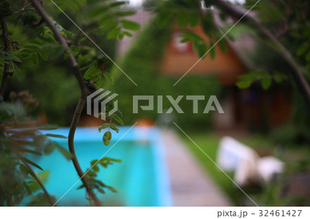 country summer house with ivy with swimming pool country summer house with ivy with swimming pool 32461427