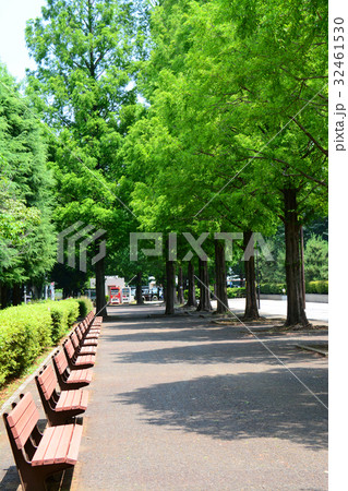埼玉県朝霞市　朝霞中央公園 32461530