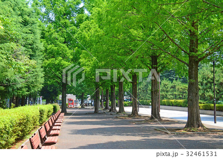 埼玉県朝霞市　朝霞中央公園 32461531