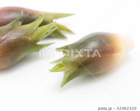 茗荷 32462320