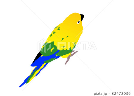 コガネメキシコインコのイラスト素材