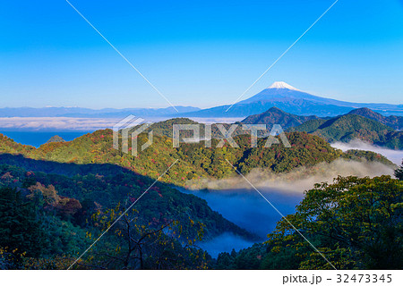 【静岡県】伊豆の国から、富士山、雲海 32473345