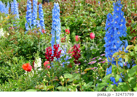 全国都市緑化よこはまフェア・山下公園会場 32473799