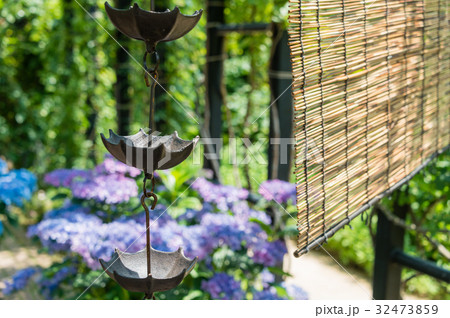 鎖樋と簾 鎖樋と簾 32473859