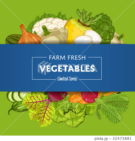 Farm fresh vegetable banner with natural product 32473881