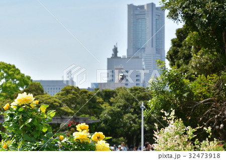 全国都市緑化よこはまフェア・山下公園会場 32473918