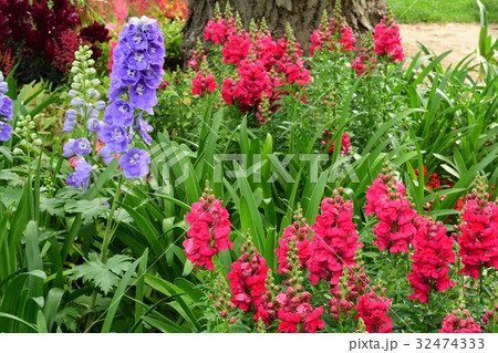 全国都市緑化よこはまフェア・日本大通り会場 32474333