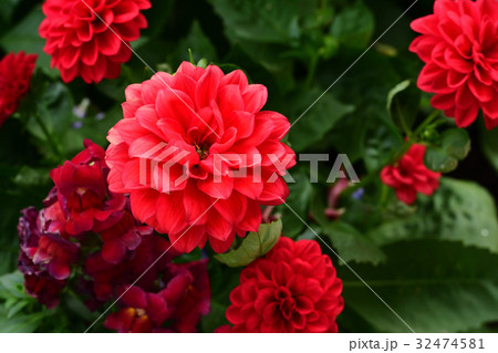 全国都市緑化よこはまフェア・日本大通り会場 32474581