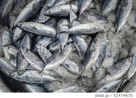 raw fish for sell raw fish for sell 32474670
