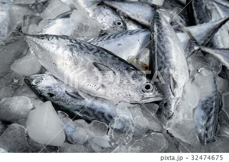 raw fish for sell 32474675