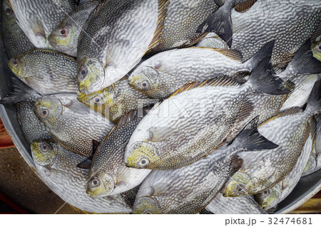 raw fish for sell 32474681